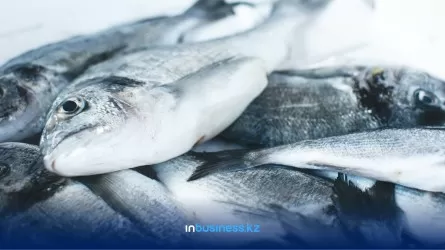 Большая и маленькая рыба: сколько килограммов морепродуктов употребляют казахстанцы в год  