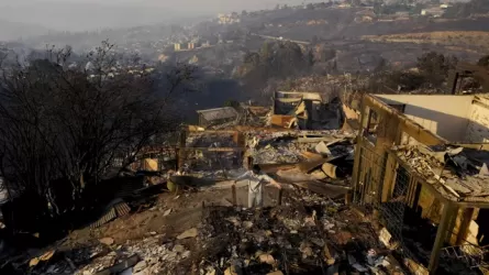 Число жертв лесных пожаров в Чили выросло до 131