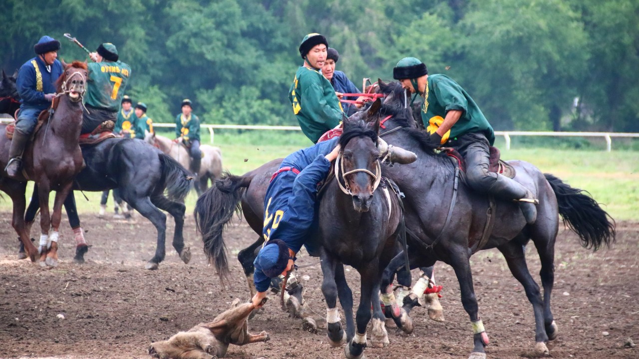 Әйелдің жыныс мүшесі қолында (видео)