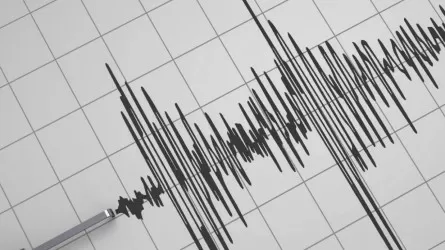 Более 56 тысяч землетрясений случилось в мире за месяц