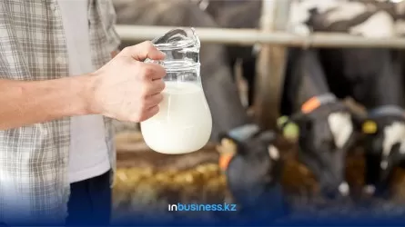 В Казахстане резко подорожало молоко: на 14% за год  