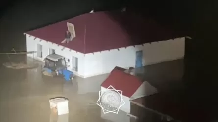 Қостанай облысындағы су басқан елді мекендерден 150 тұрғын құтқарылды 