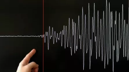 Землетрясение магнитудой 5.0 случилось в 486 км от Алматы