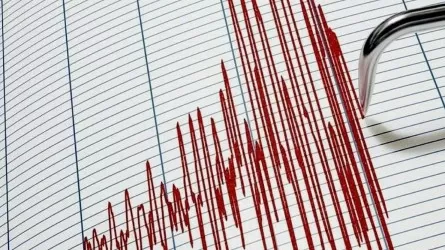 128 звонков поступило на горячую линию МЧС РК после землетрясения в Алматы 