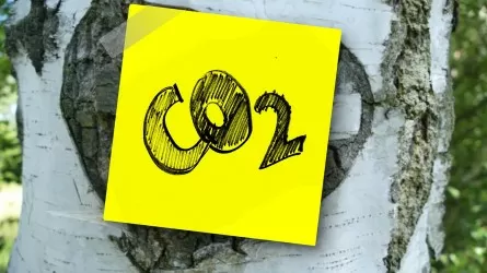 Казахстан стремится к абсолютному сокращению выбросов углекислого газа к 2030 году – Зульфия Сулейменова