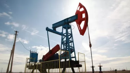 Топ казахстанских женщин, занимающих высокие посты в нефтяных компаниях