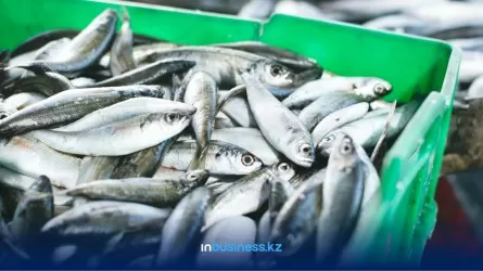 Какие виды рыб Казахстан намерен запретить вывозить на экспорт? 