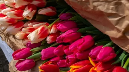 С января по февраль в РК ввезли более 24,6 млн цветов