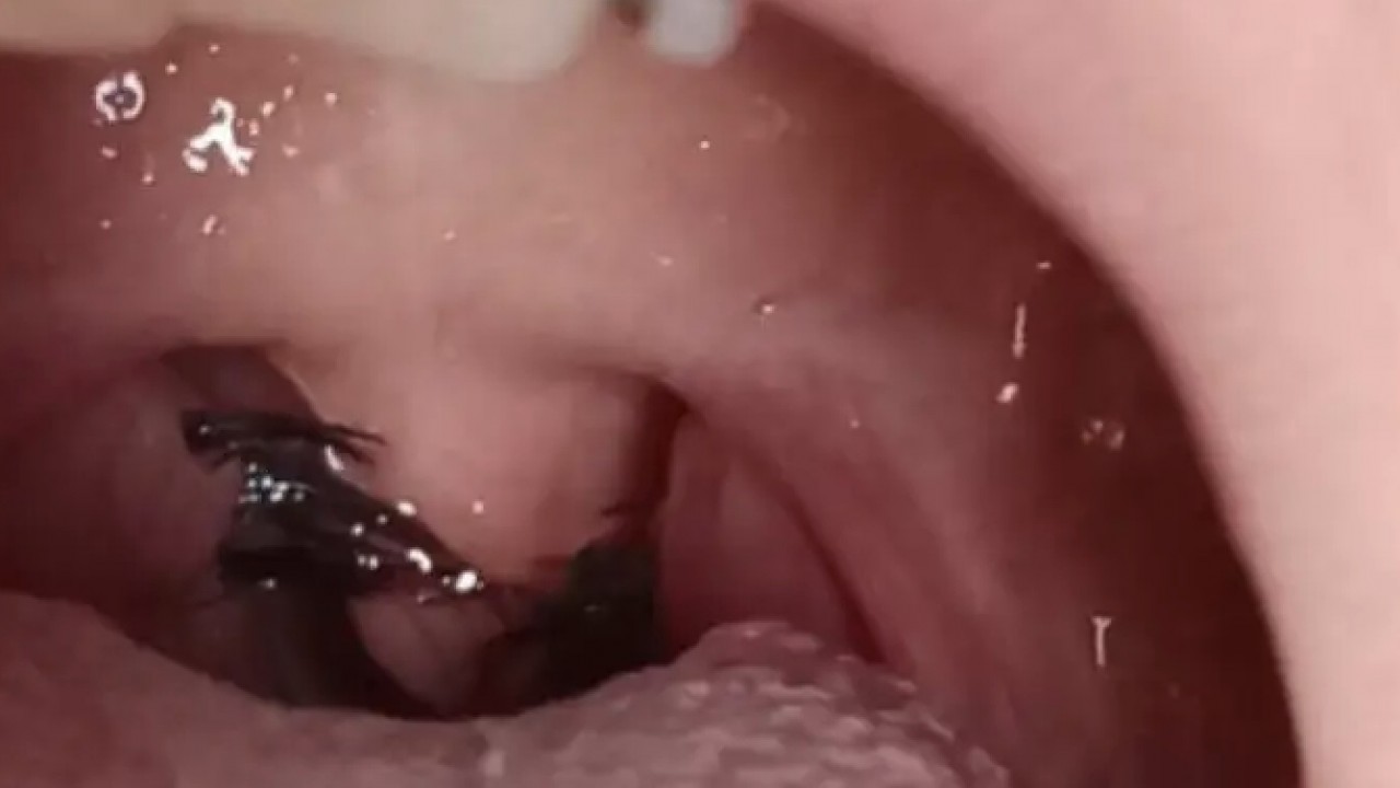 Қыздың аузында жеке Қыздың аузында жеке