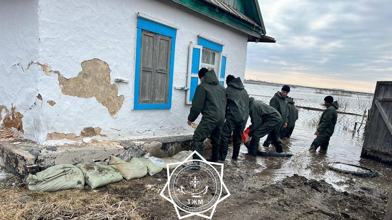 Ересек әйелдер сперматозоидты ашкөздікпен жұтады Әйел роботпен порно