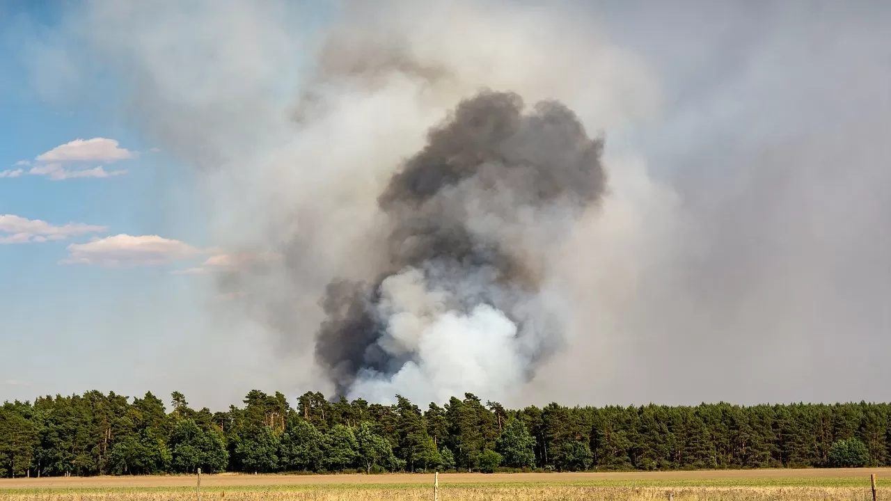 Лесные пожары гораздо раньше обычного вспыхнули в Румынии и Греции 