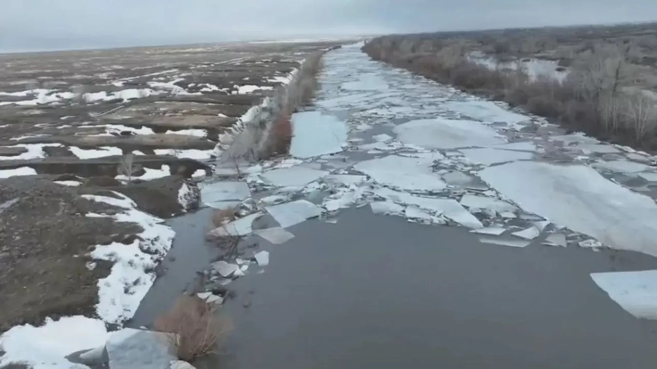 Батыс Қазақстанда Елек өзені қауіпті деңгейден асып кетті