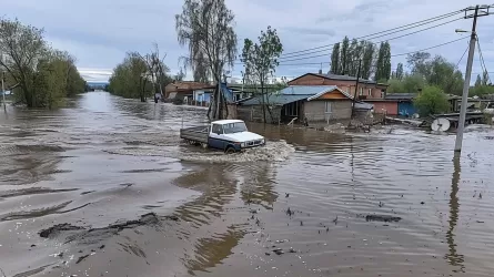 Более 100 тыс. казахстанцев, включая детей, эвакуировали из-за паводков