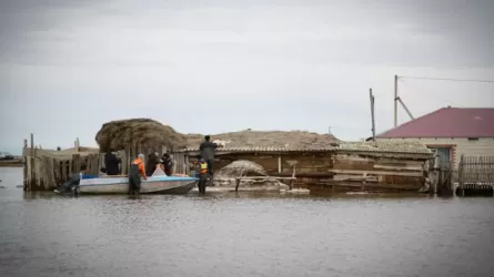 Су тасқынынан зардап шеккен өңірлерге жем-шөп жеткізіле бастады