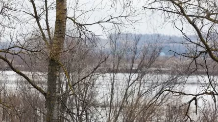 Река Урал угрожает затопить Оренбург 