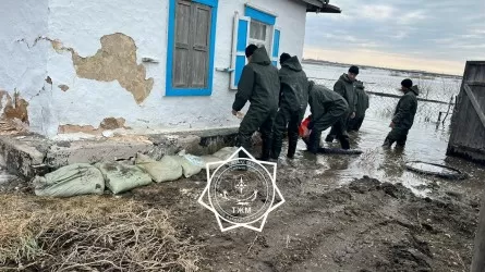 Группа Halyk направит 1 млрд тенге в помощь пострадавшим от паводков казахстанцам