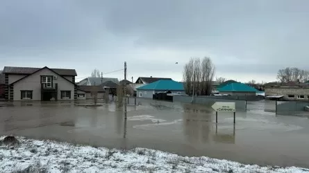 Су басқан өңір балалары сауықтыру орталықтарына жіберіліп жатыр