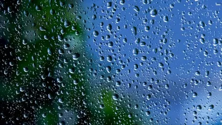 Туманы и дожди с грозами обещают синоптики в Казахстане
