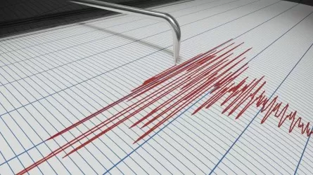 В 456 км от Алматы случилось землетрясение