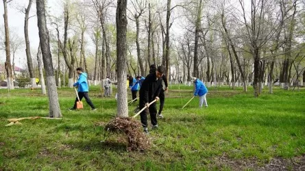 Жамбыл облысы «Таза Қазақстан» экологиялық акциясын қолдады 