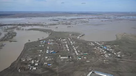 Токаев – о паводках: Ближайшие 10 дней будут самыми критическими