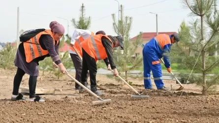 «Таза Қазақстан» акциясы: Жамбыл ауданындағы 61 елдімекенде күнделікті сенбілік өтуде