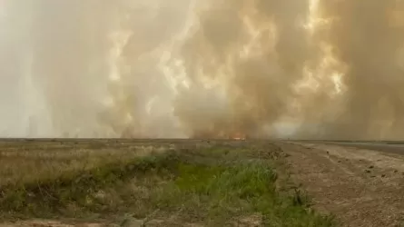 В каких регионах Казахстана ожидается высокая пожарная опасность?