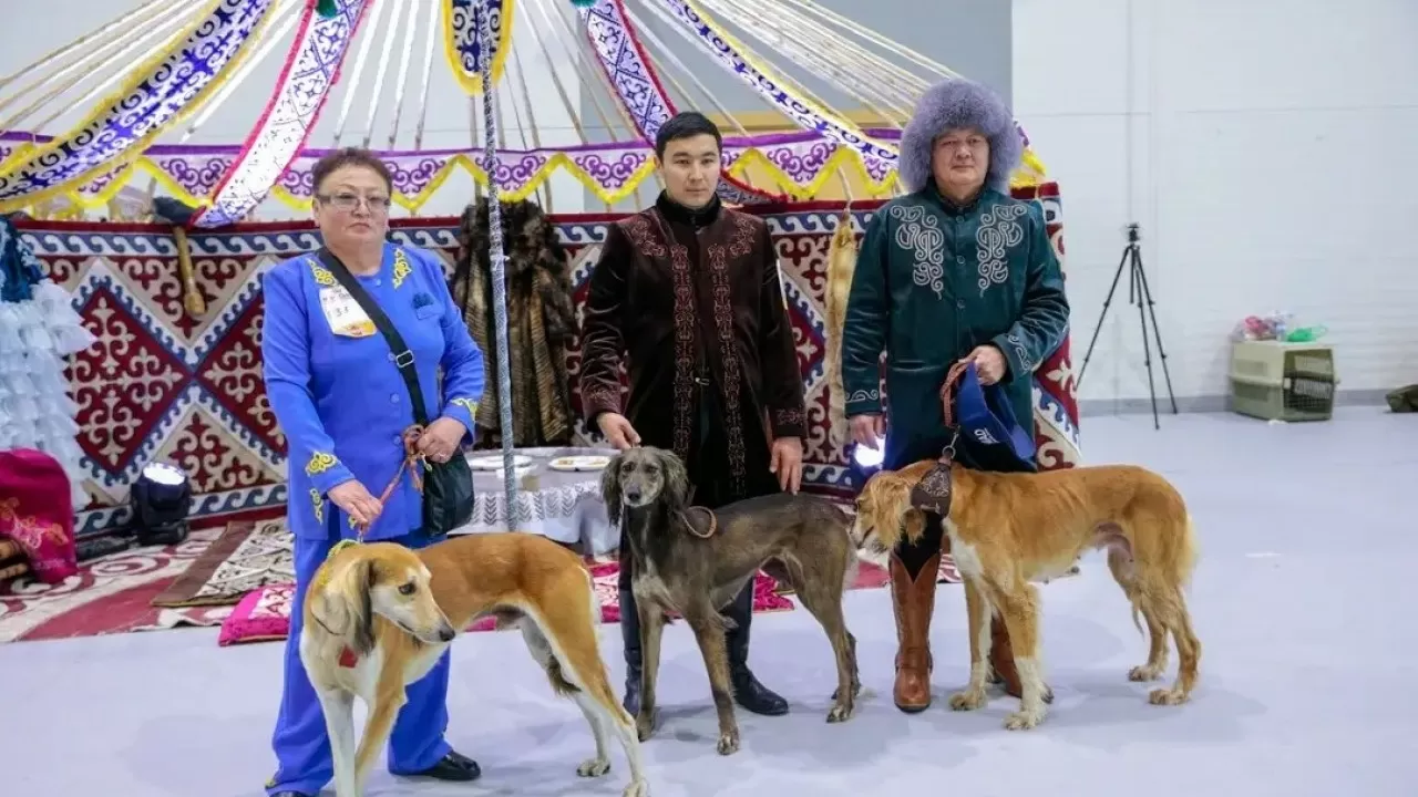 Астанада иттердің халықаралық көрмесі өтіп жатыр