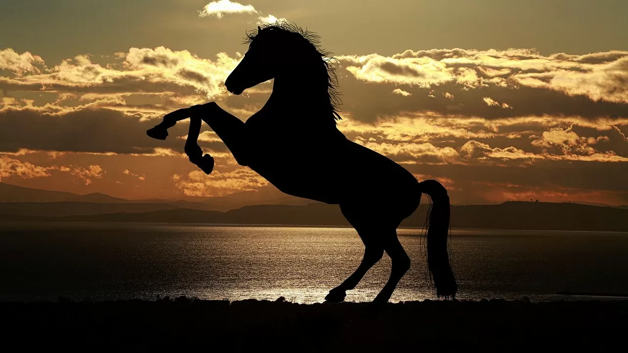 Мажилис РК одобрил законопроект о сохранении казахской спортивной породы лошадей 