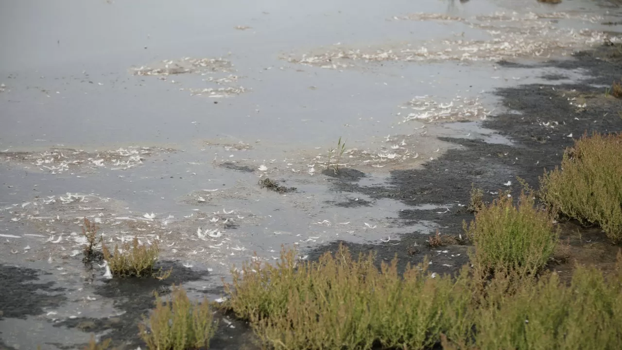 Уровень воды в реке Жайык снова поднялся – МЧС РК