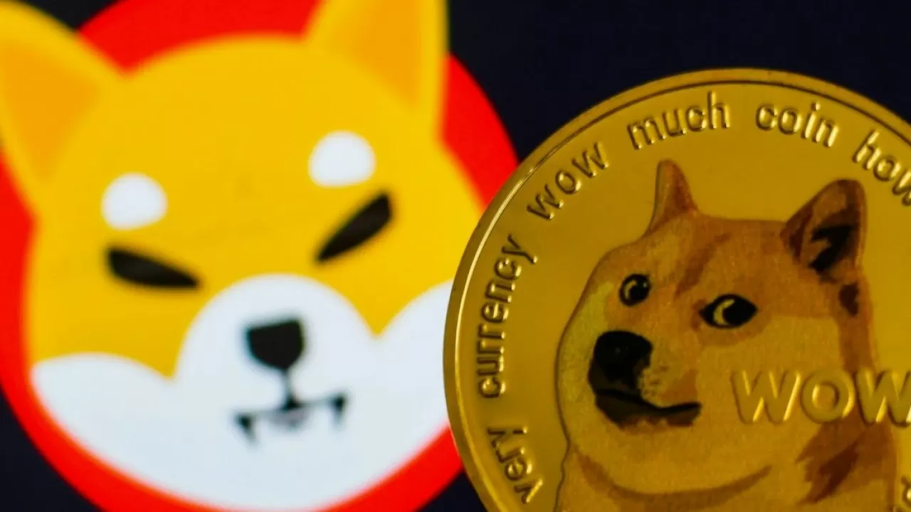 Стало известно о смерти собаки, ставшей символом Dogecoin | Inbusiness.kz