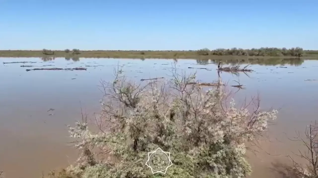Уровень воды в реке Жайык в Атырау поднялся на 10 сантиметров