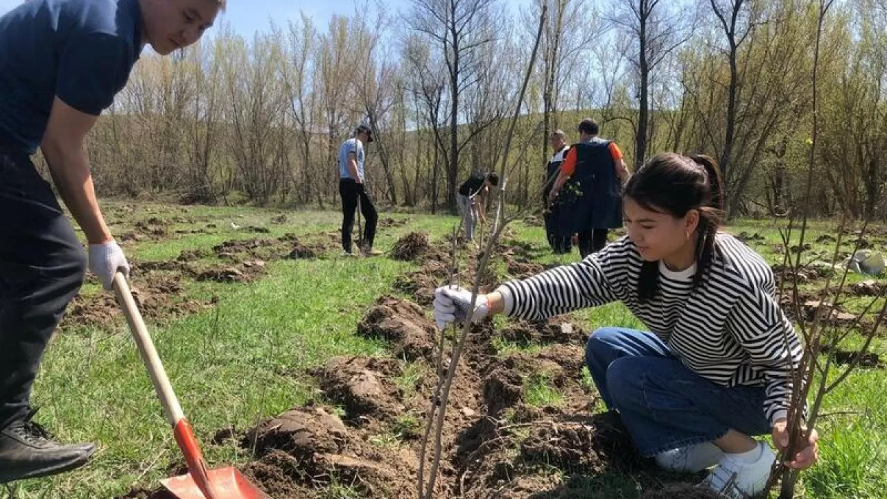 "Таза Қазақстан" – халқымыздың көзқарасын, болмысын өзгерте алатын өте маңызды жоба