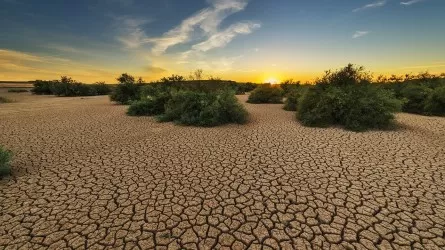 Где в Казахстане ожидается засуха
