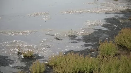 Талые воды угрожают еще одному селу в Казахстане   