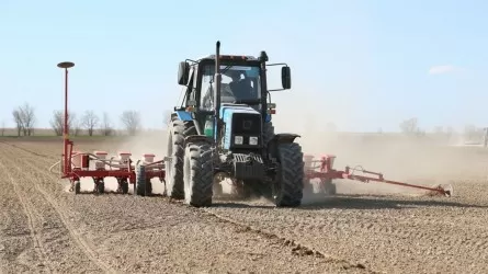 Егіс науқаны кешігіп, бидай қымбаттап жатыр