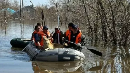 Су тасыған облыстарда 41 мыңнан астам адам өз үйіне оралды 