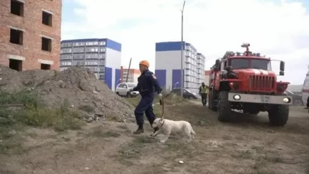 Когда в Казахстане пройдет масштабная сейсмотренировка?