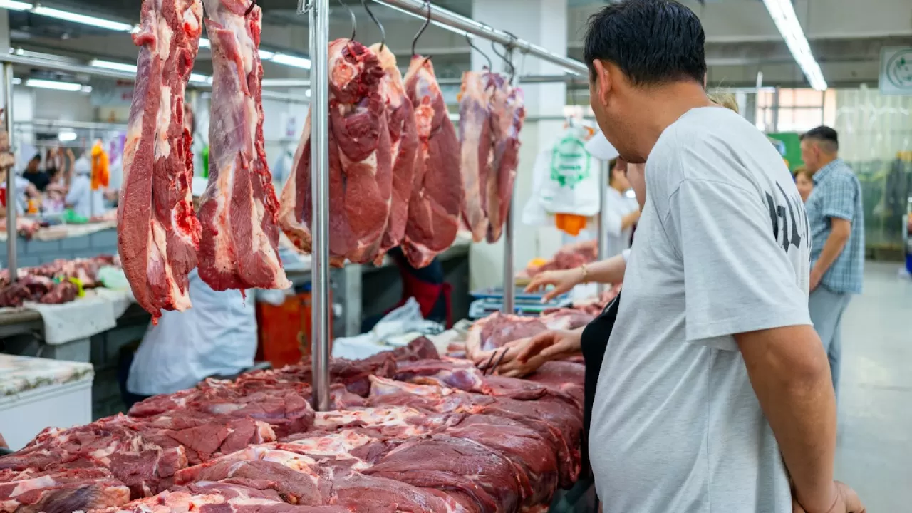Казахстанские мясокомбинаты готовы к переработке сайгачьего мяса  