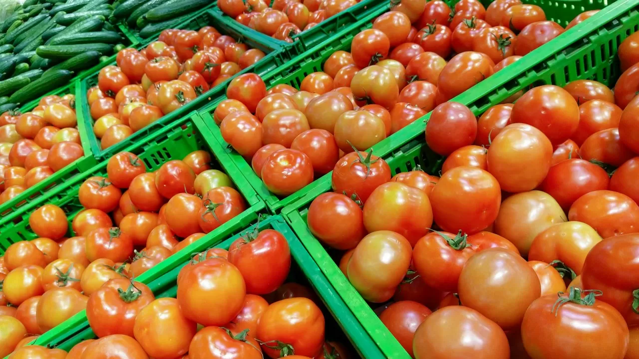 Полтонны российских томатов уничтожат в Казахстане