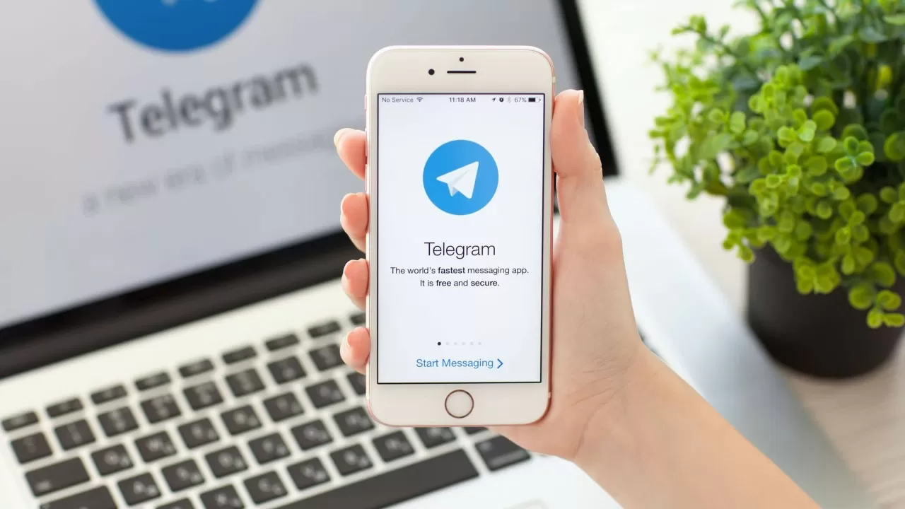 О кружках и секциях в Павлодаре можно будет узнать у telegram-бота |  Inbusiness.kz