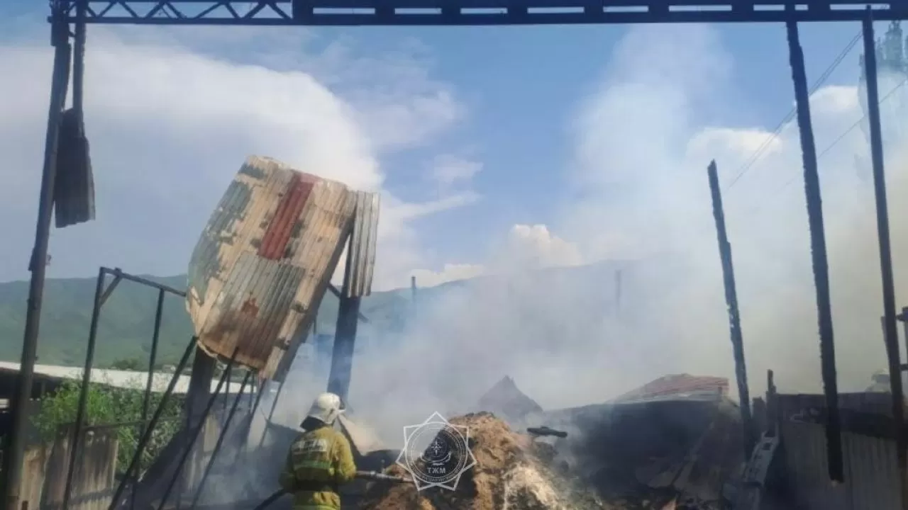 Крупный пожар ликвидировали спасатели в Алматинской области 