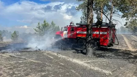 Шығыс Қазақстан облысында 6 орман және 12 дала өрті сөндіріліп жатыр 