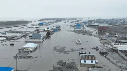 Елімізді топан су басуына негізгі айыптылар табылды