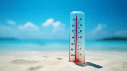 Казахстанцев предупредили: сильная жара ожидается на время хаджа в Саудовской Аравии 