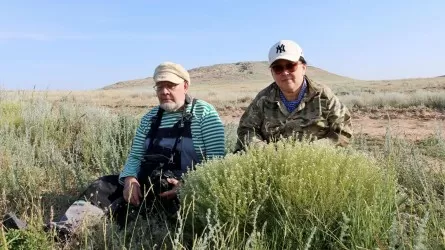 Новый вид растения найден в Западном Казахстане 