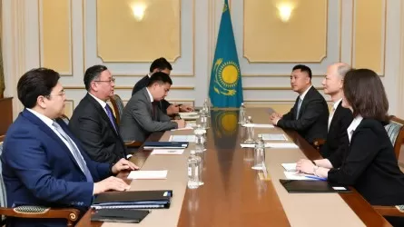 Китайская высокотехнологичная компания заинтересовалась локализацией в Казахстане
