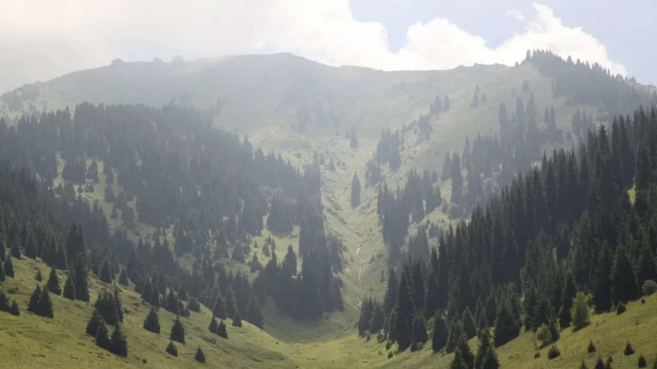 Семь подростков спасли в горах Алматы