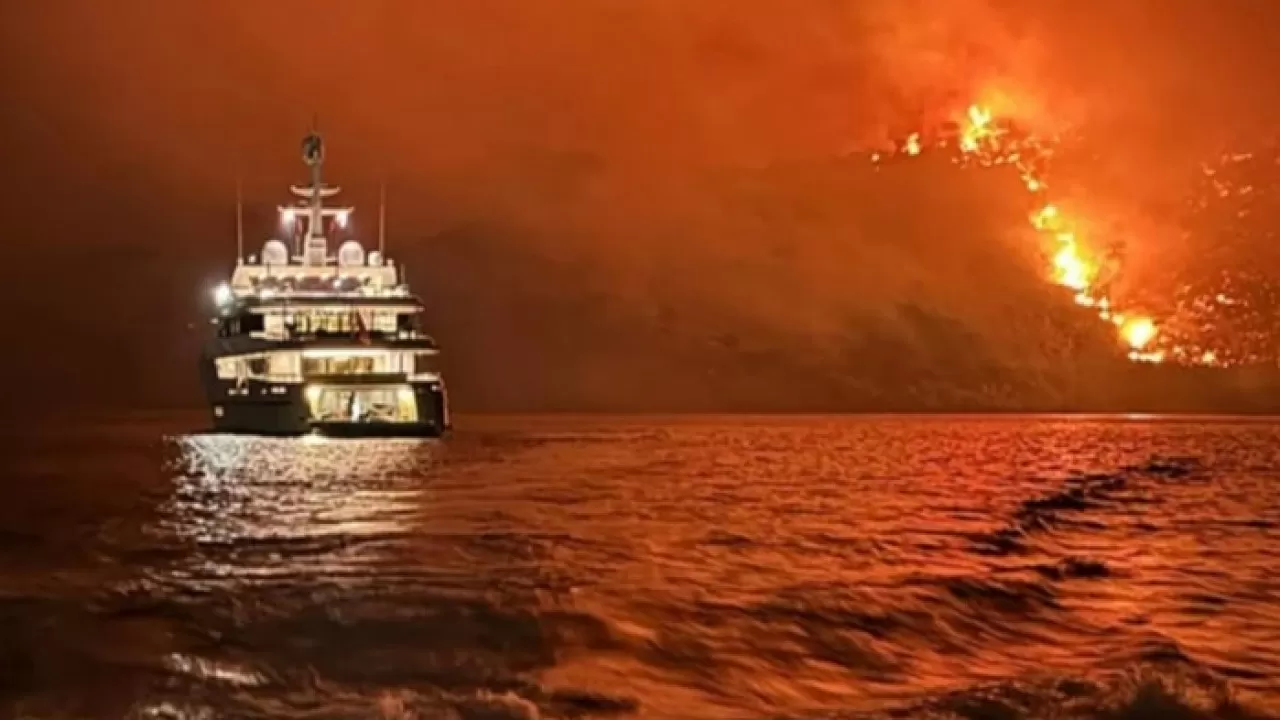 Туристы из Казахстана вызвали лесной пожар на греческом острове