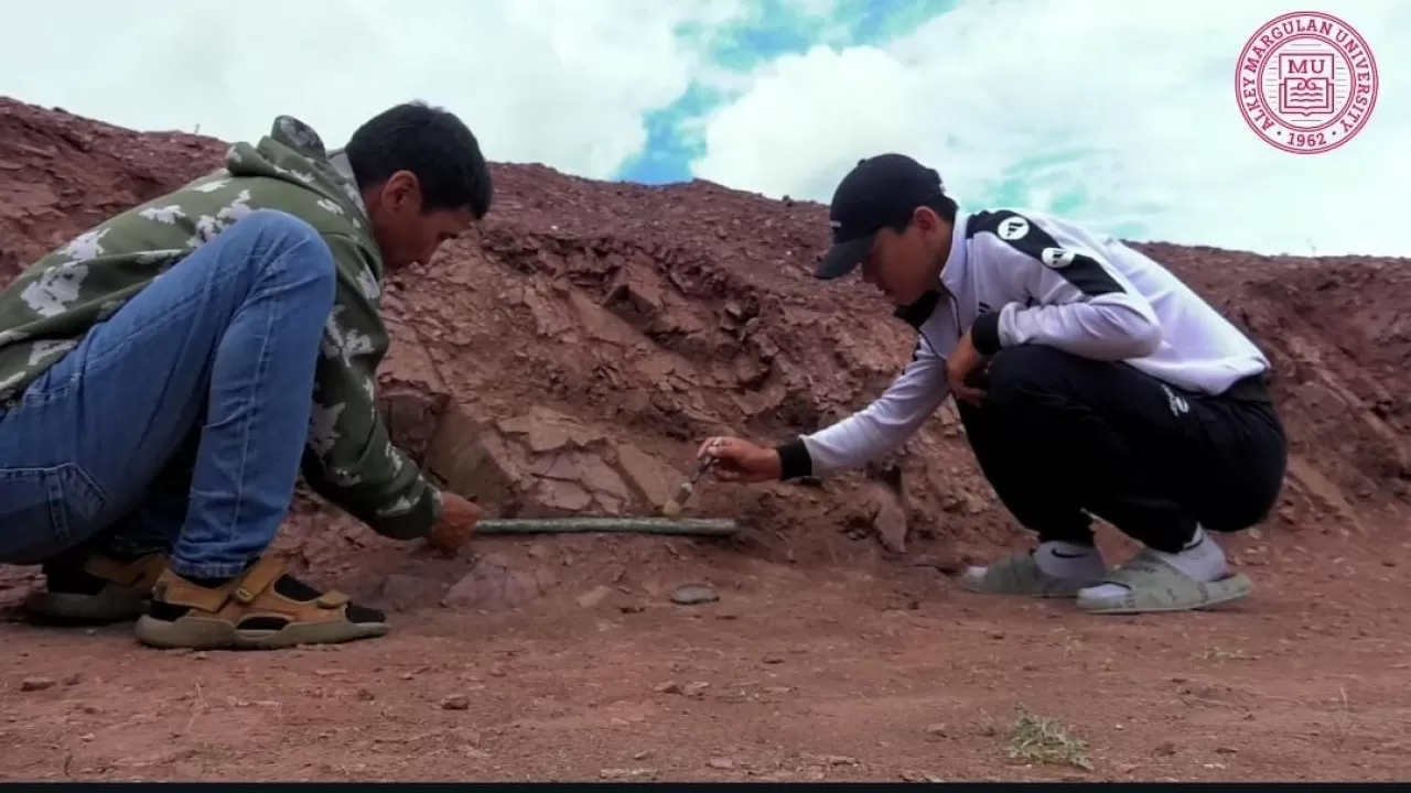 Уникальные вещи найдены археологами павлодарского вуза на раскопках 